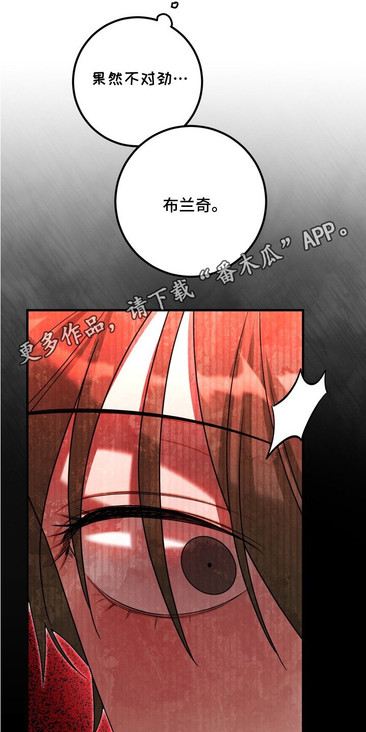 第17章：抓住了