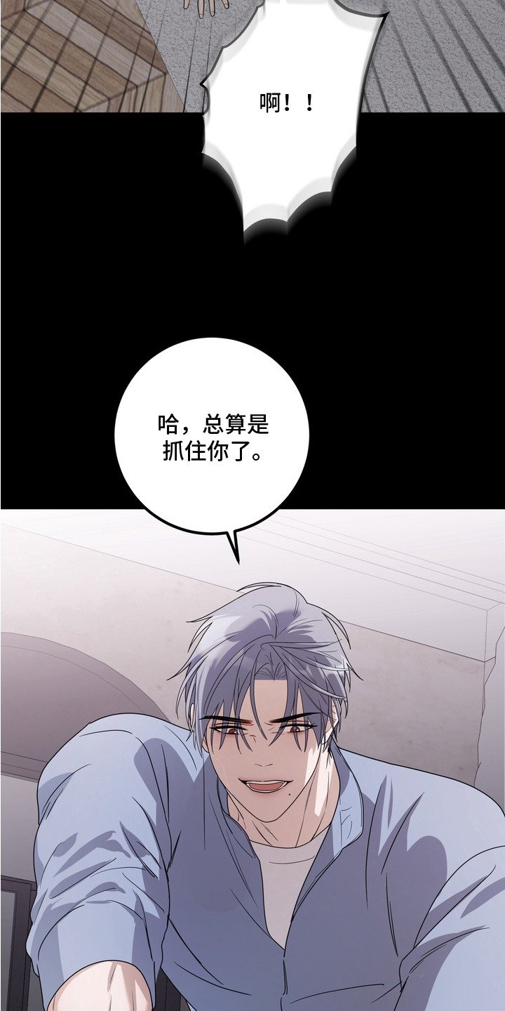 第17章：抓住了