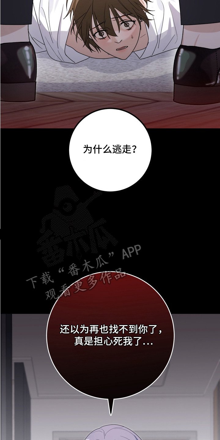 第17章：抓住了