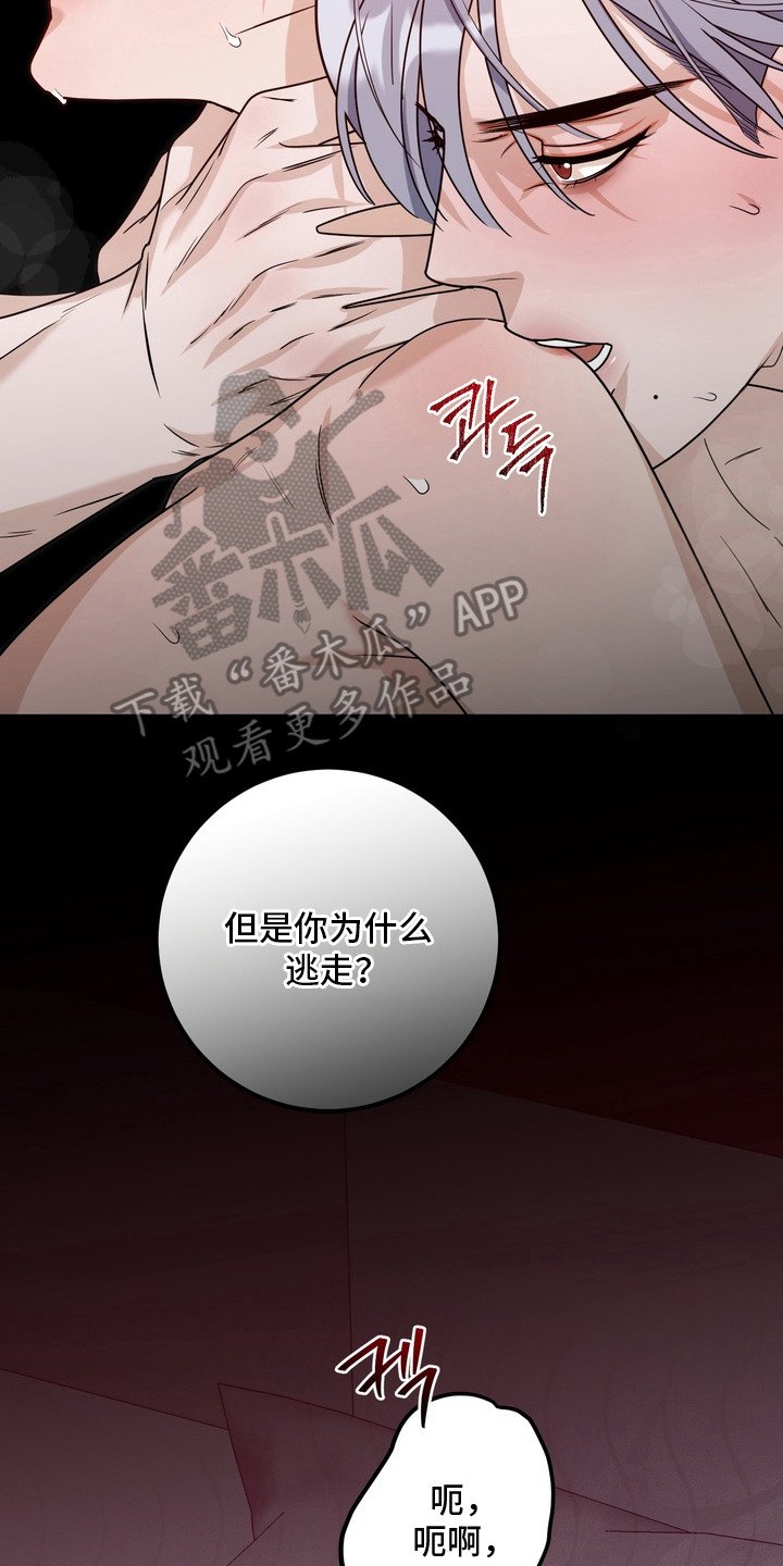 第18章：说你爱我