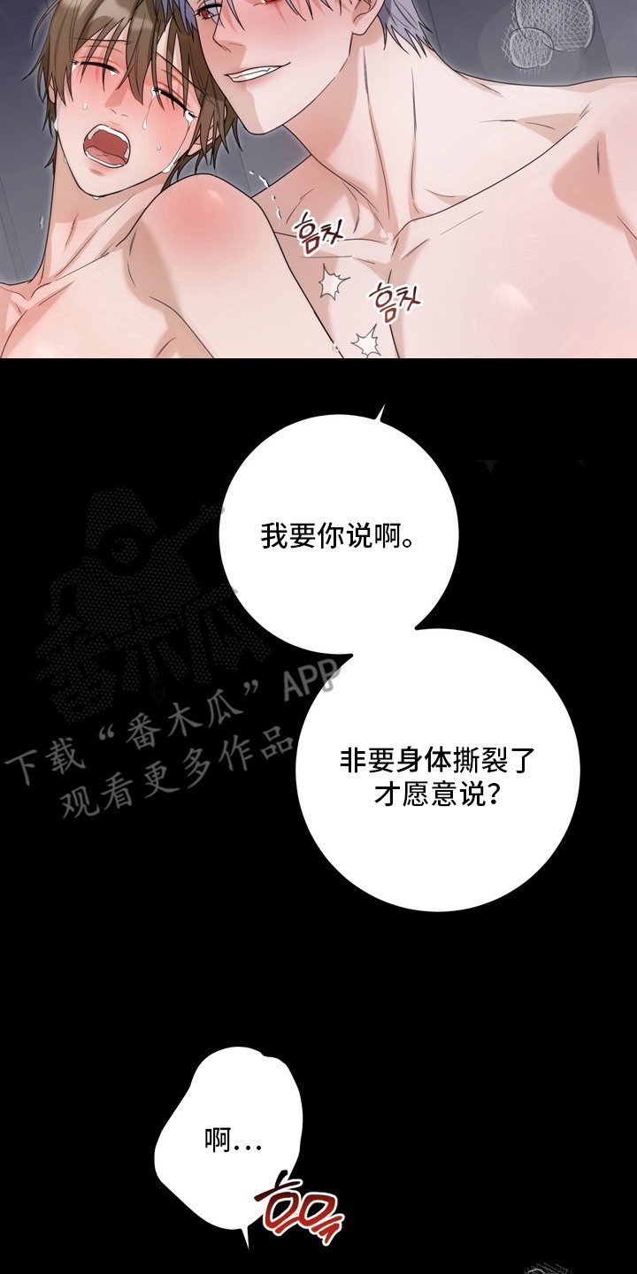 第19章：婚戒（完结）