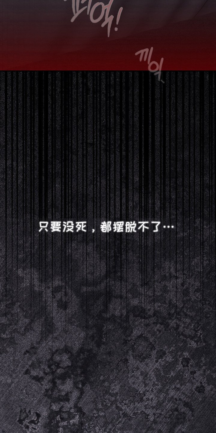 第19章：婚戒（完结）