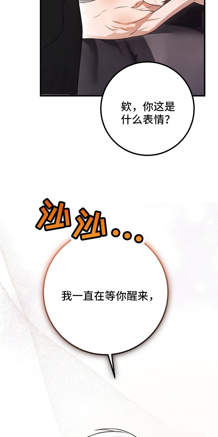 第3章：摊牌