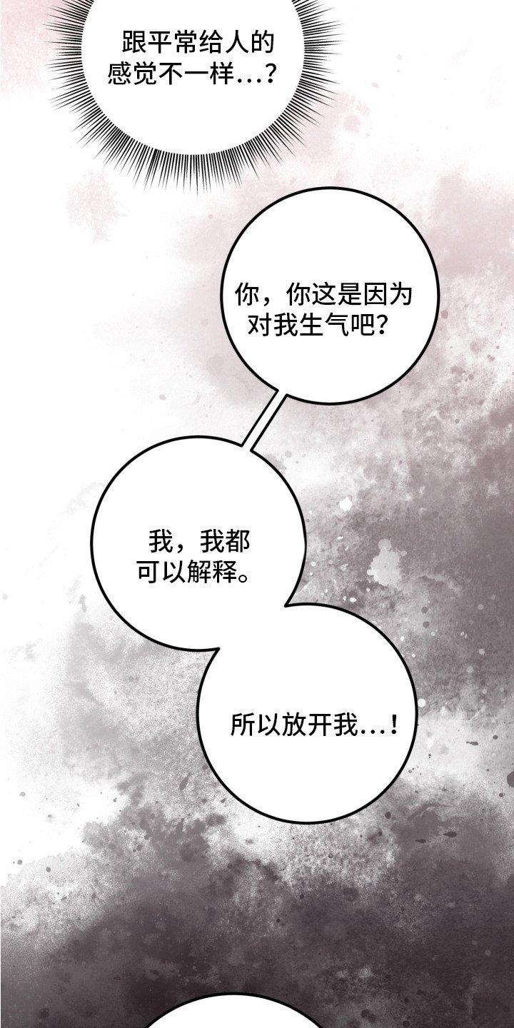 第4章：双胞胎