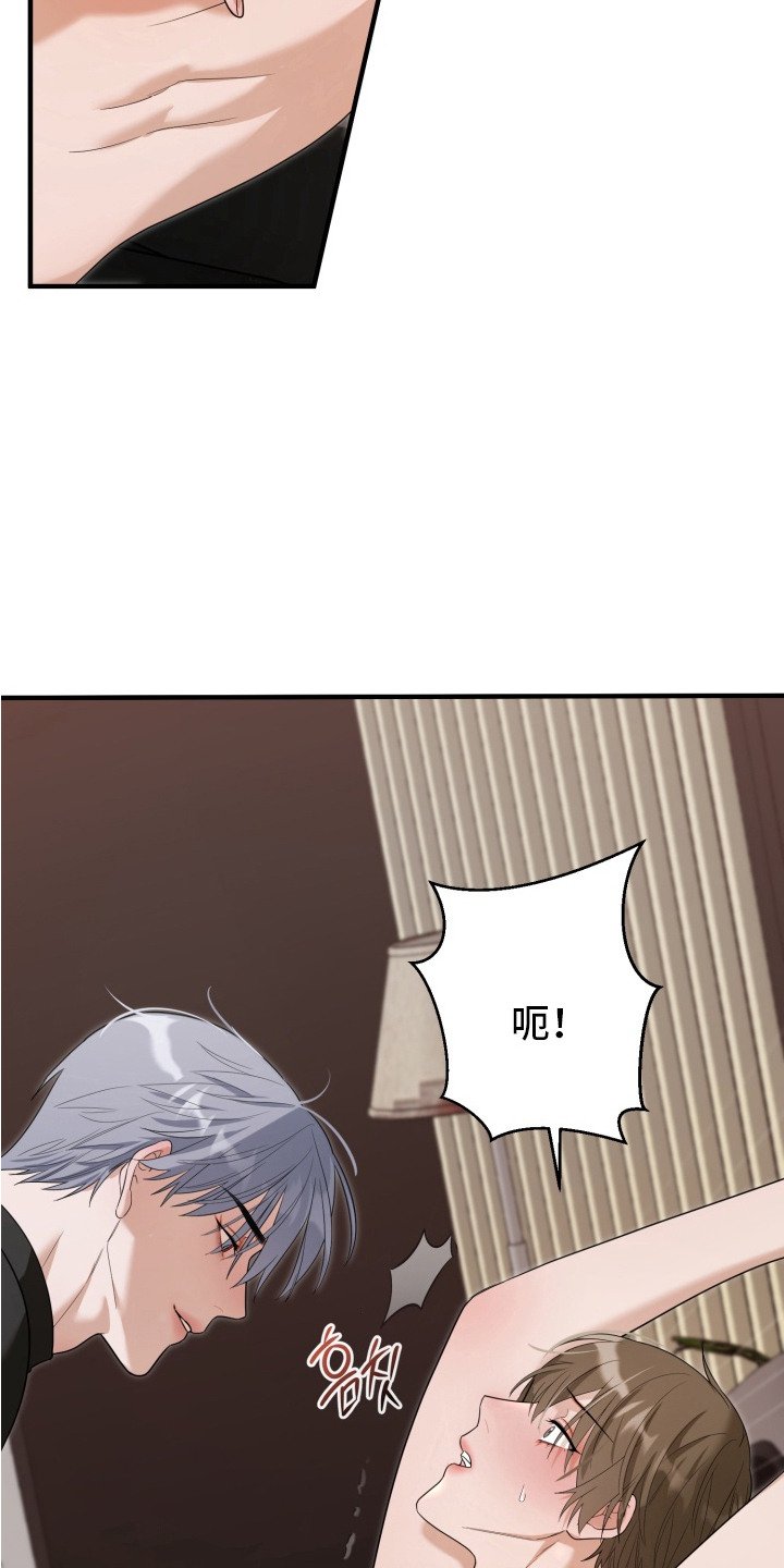 第4章：双胞胎