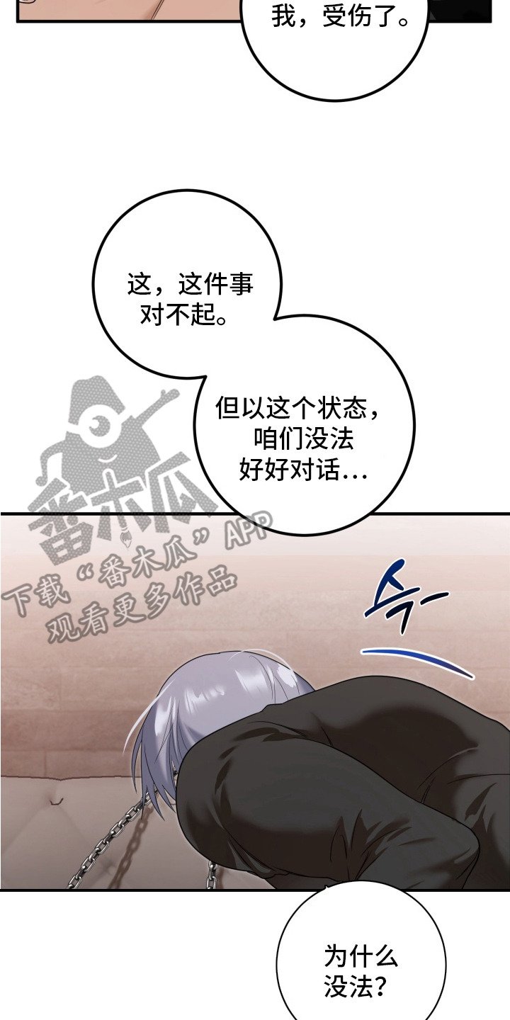 第4章：双胞胎