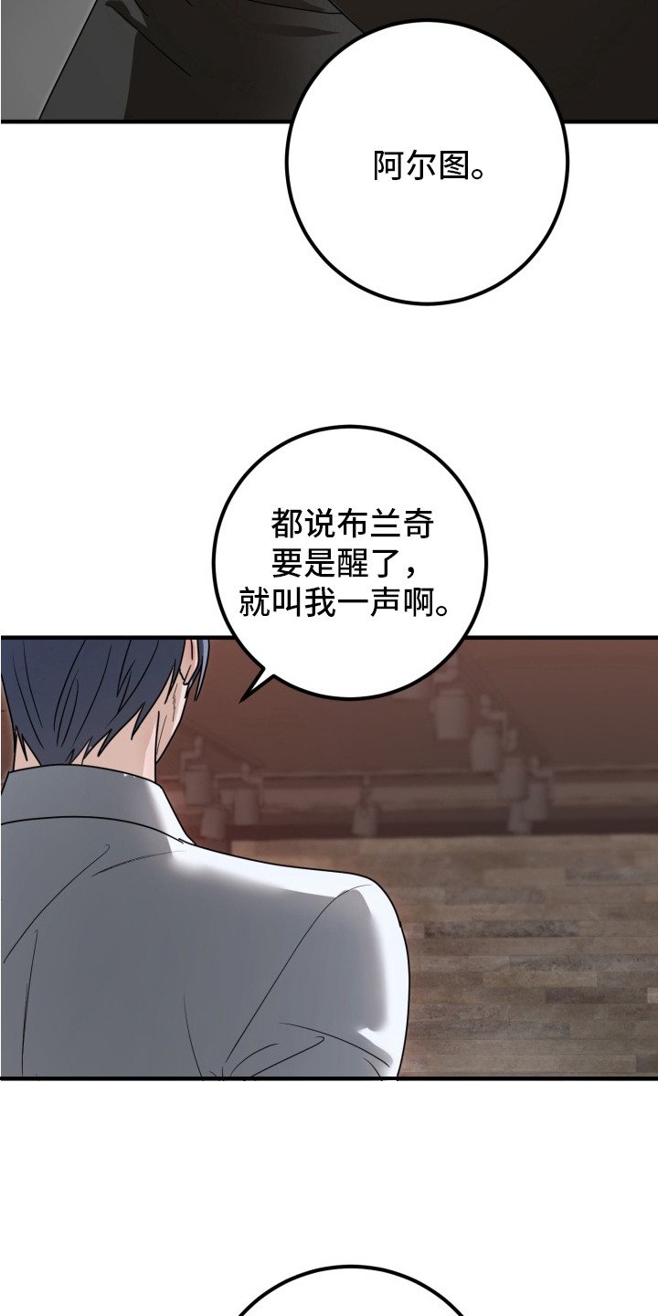 第4章：双胞胎