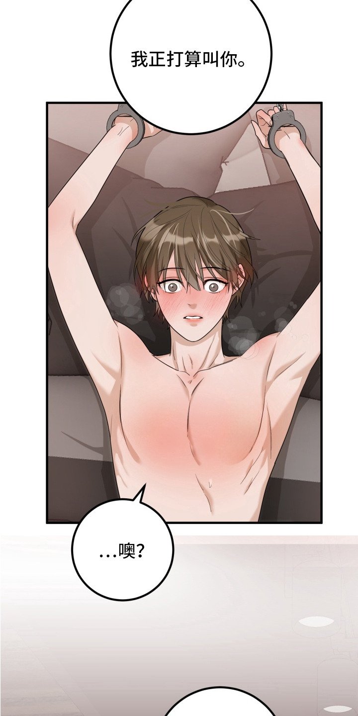 第4章：双胞胎