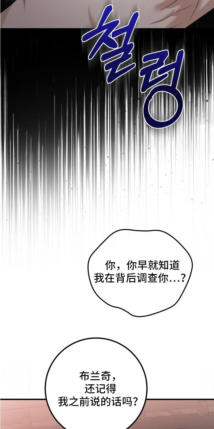 第4章：双胞胎