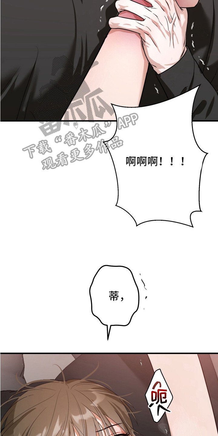 第5章：求饶