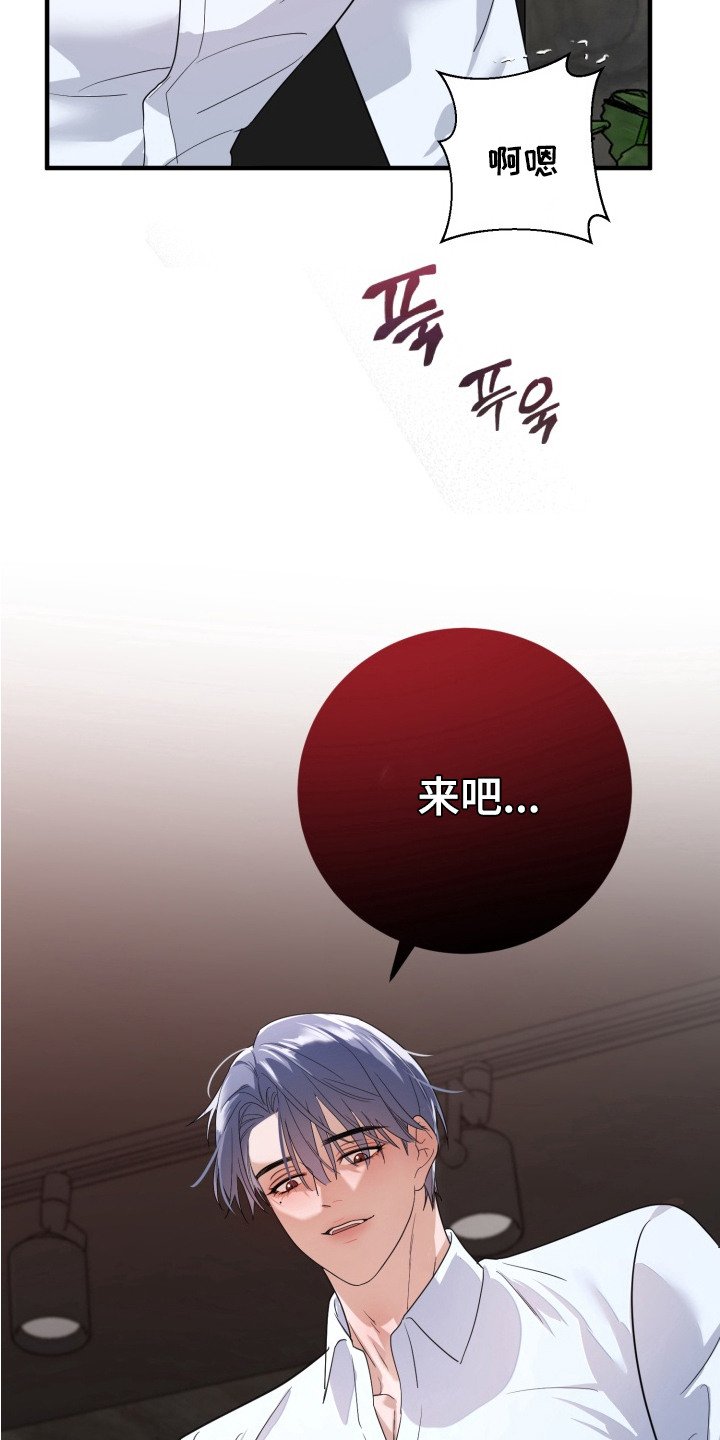 第6章：一起试试