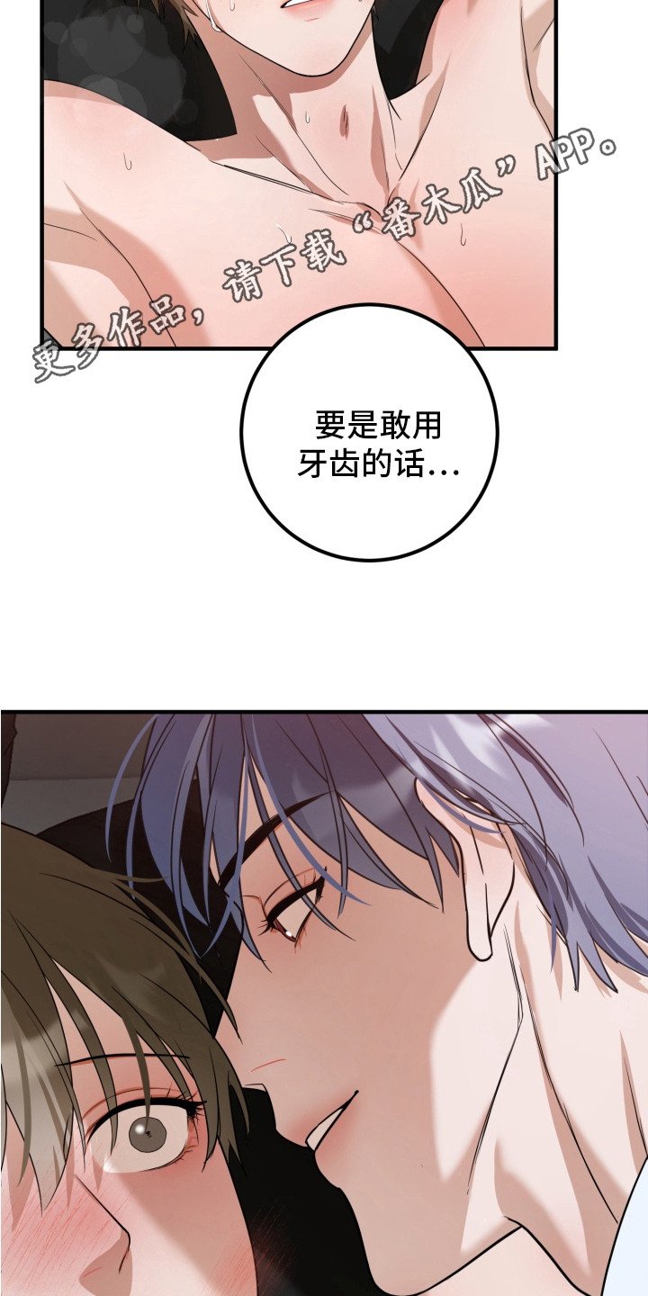 第6章：一起试试
