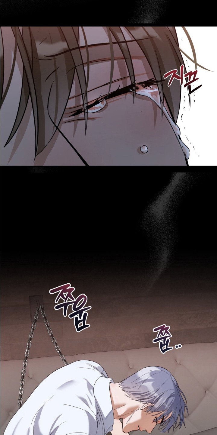 第6章：一起试试