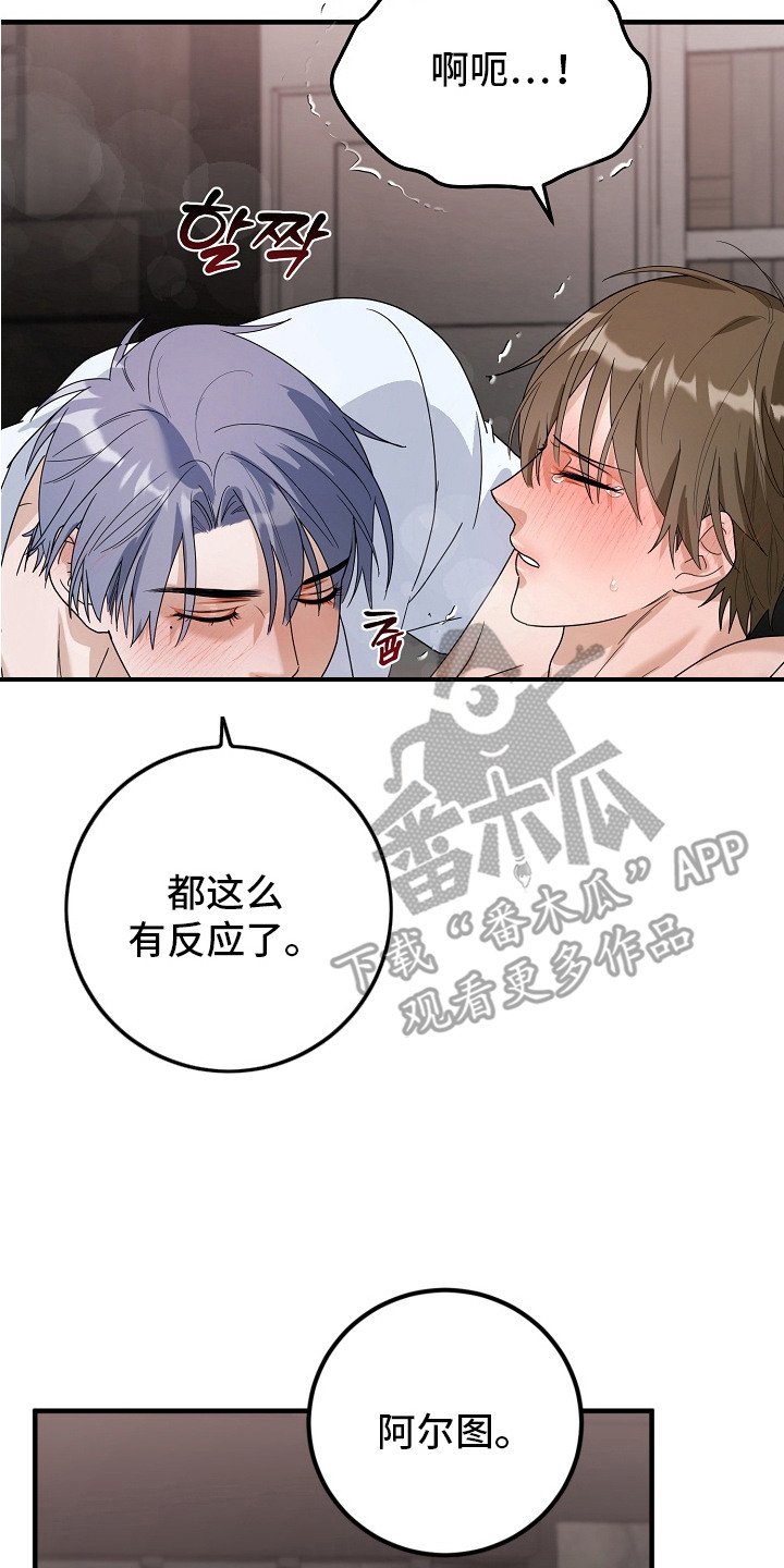 第6章：一起试试