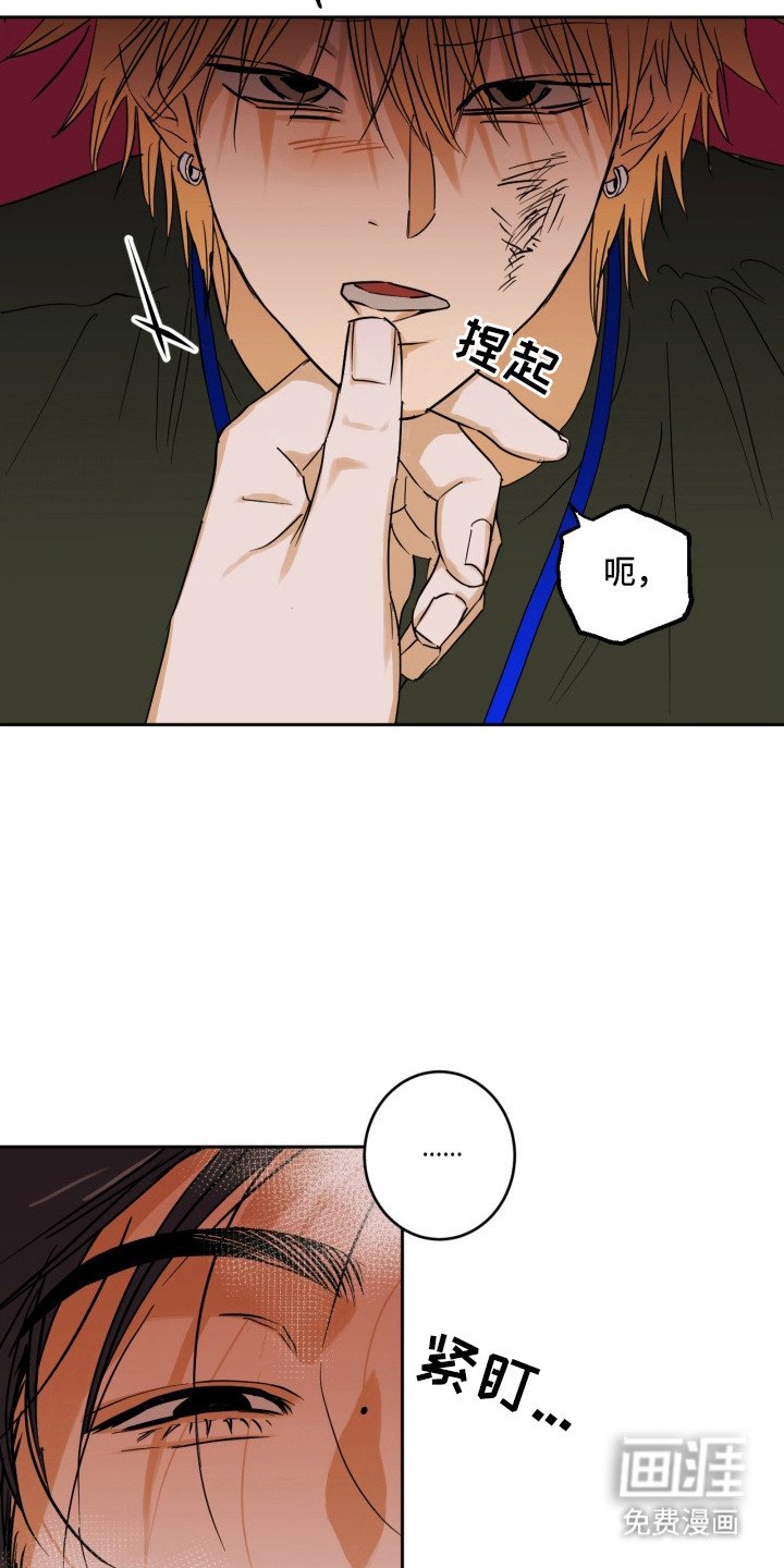 第1章：狼狈