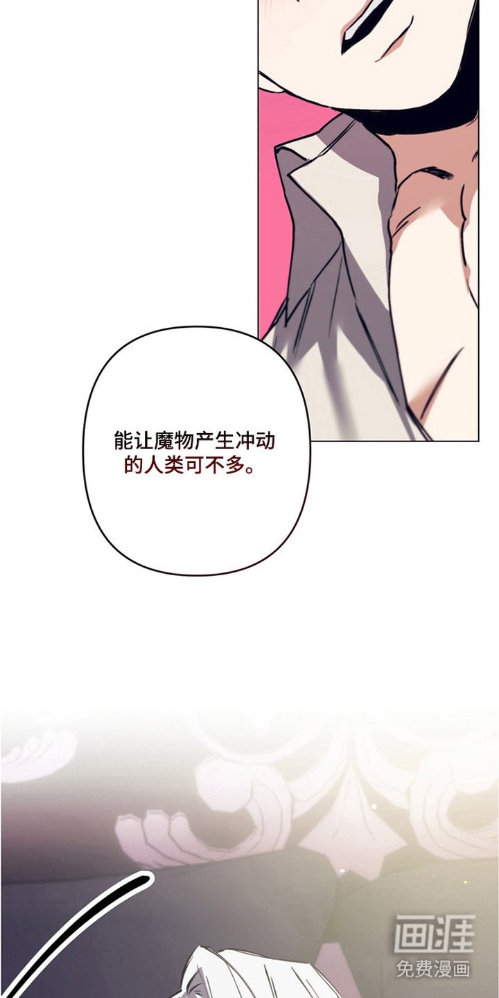 第11章：魔物蛋