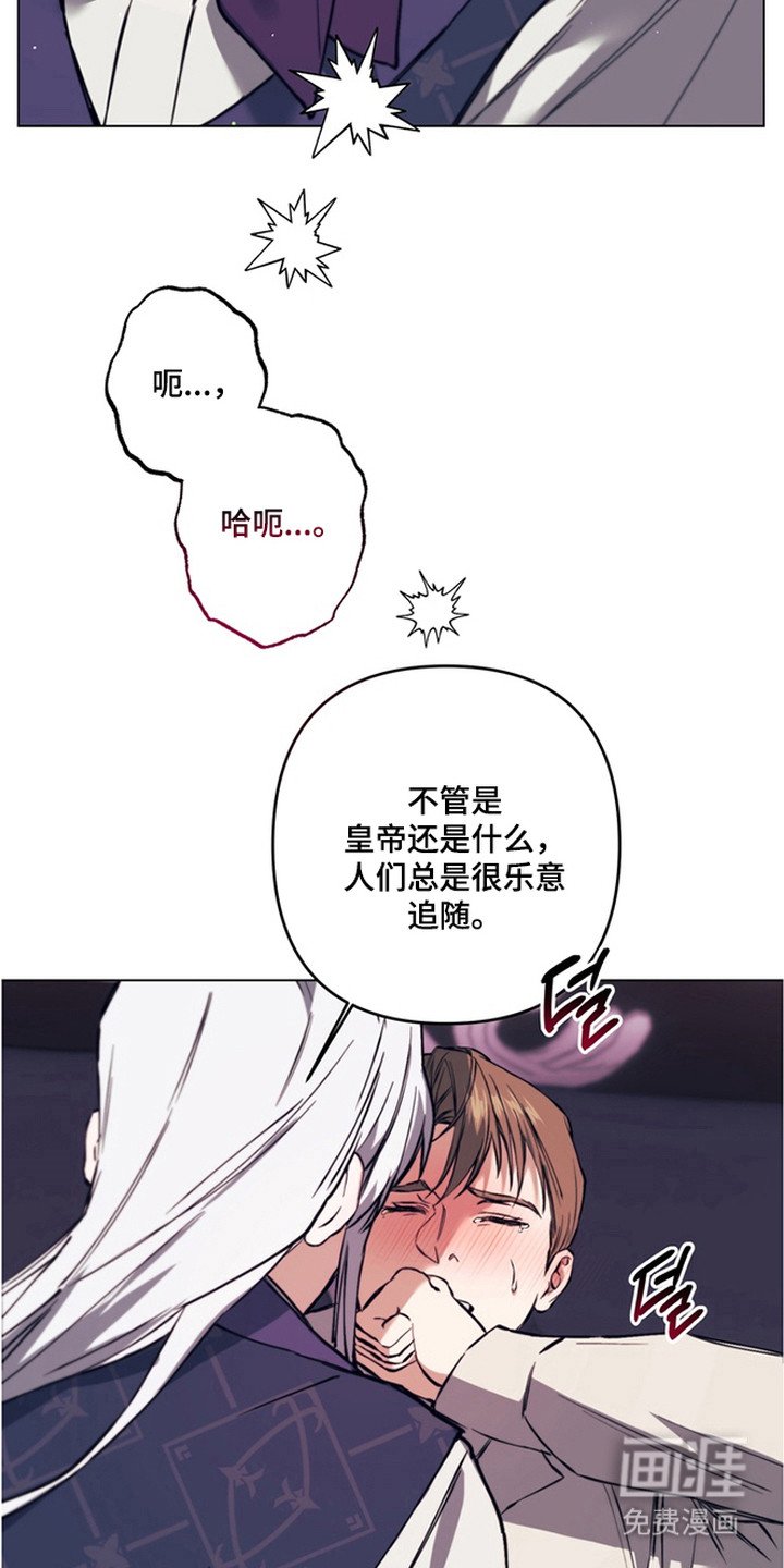 第11章：魔物蛋
