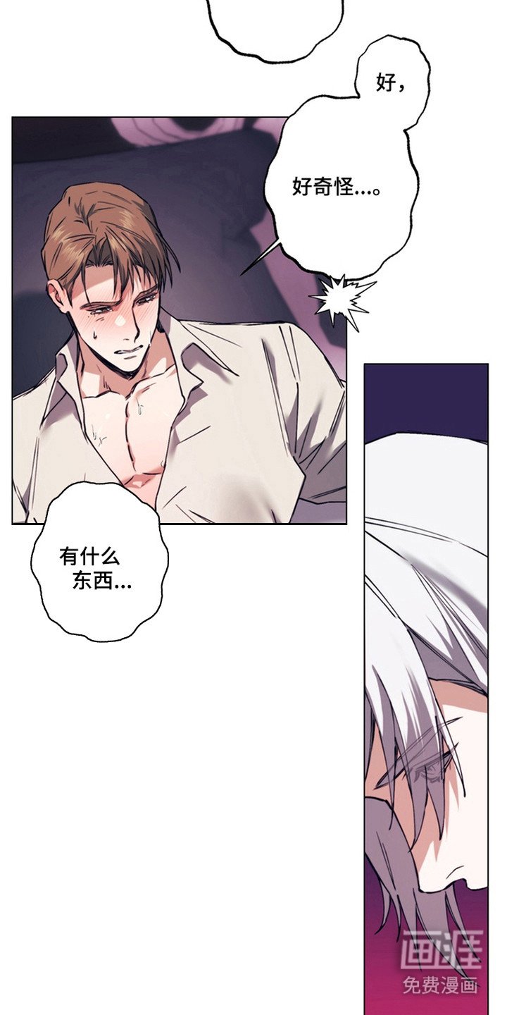 第11章：魔物蛋
