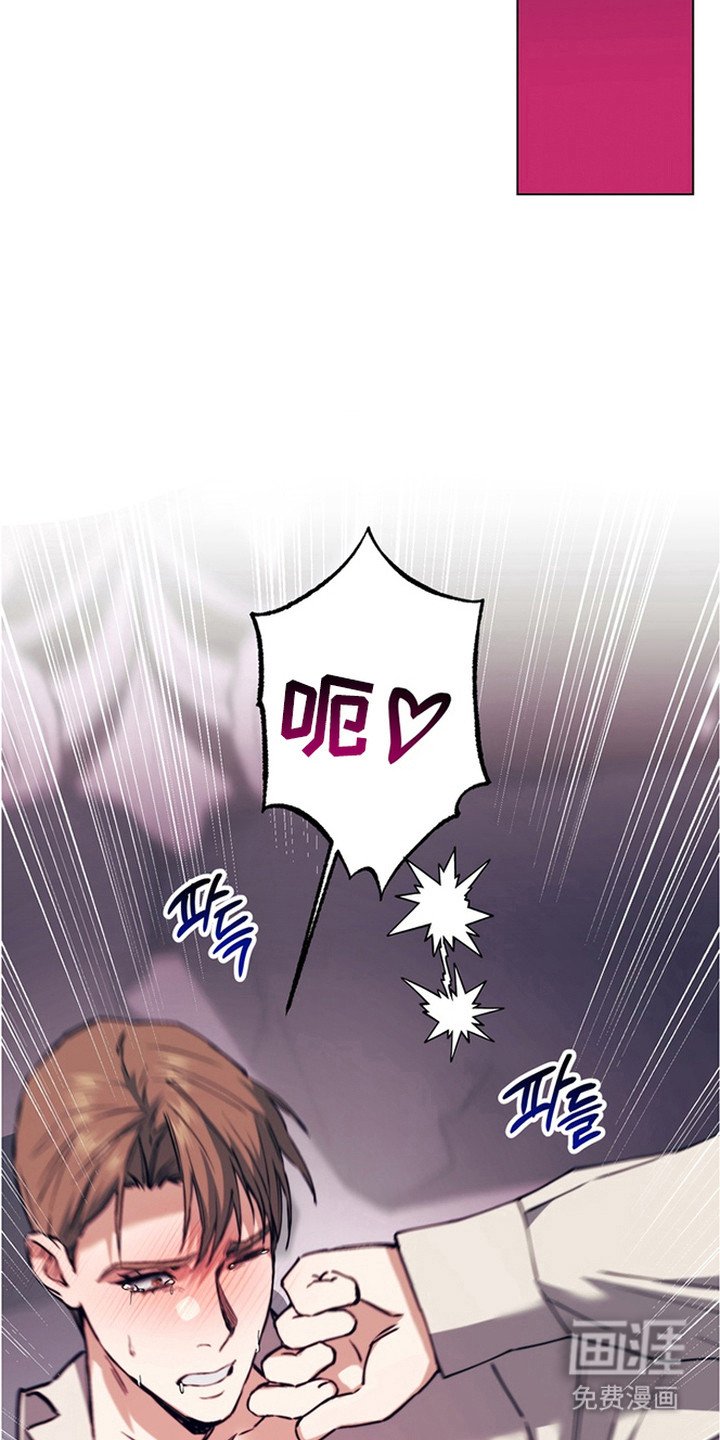 第11章：魔物蛋