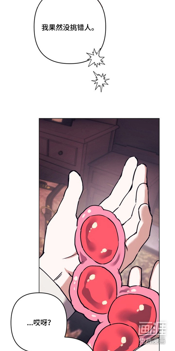 第11章：魔物蛋