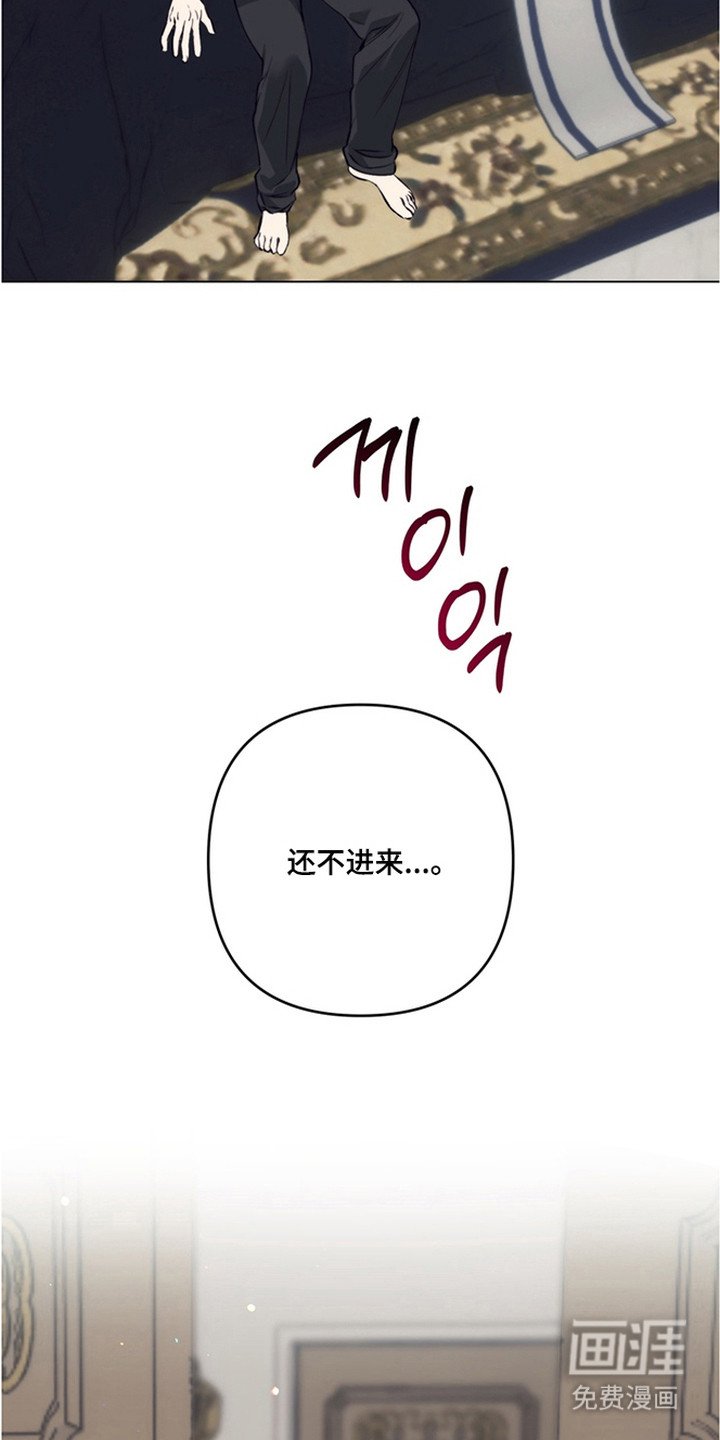 第15章：又见面了