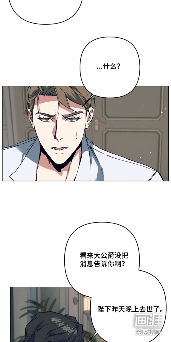 第18章：选择