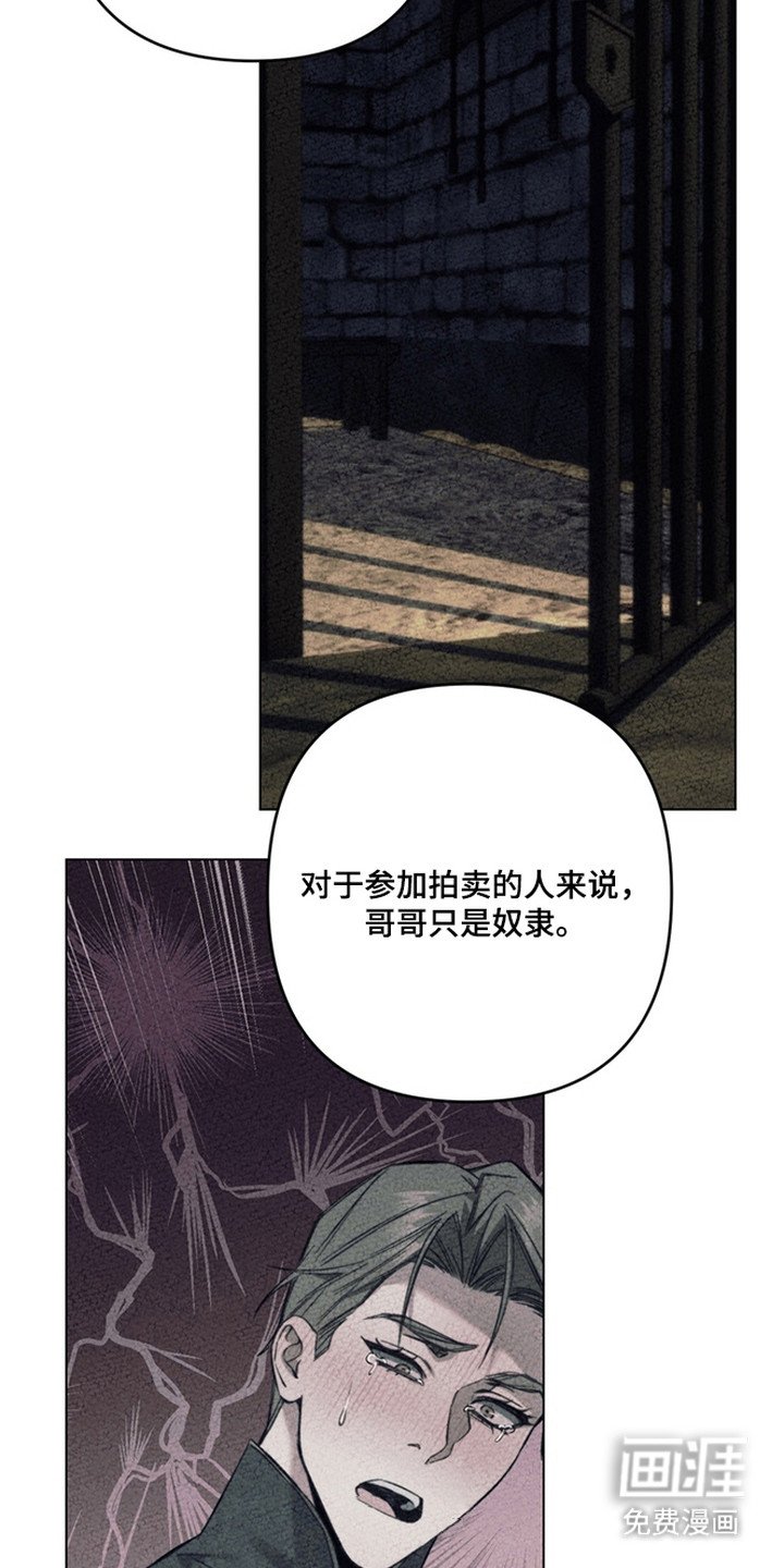 第18章：选择