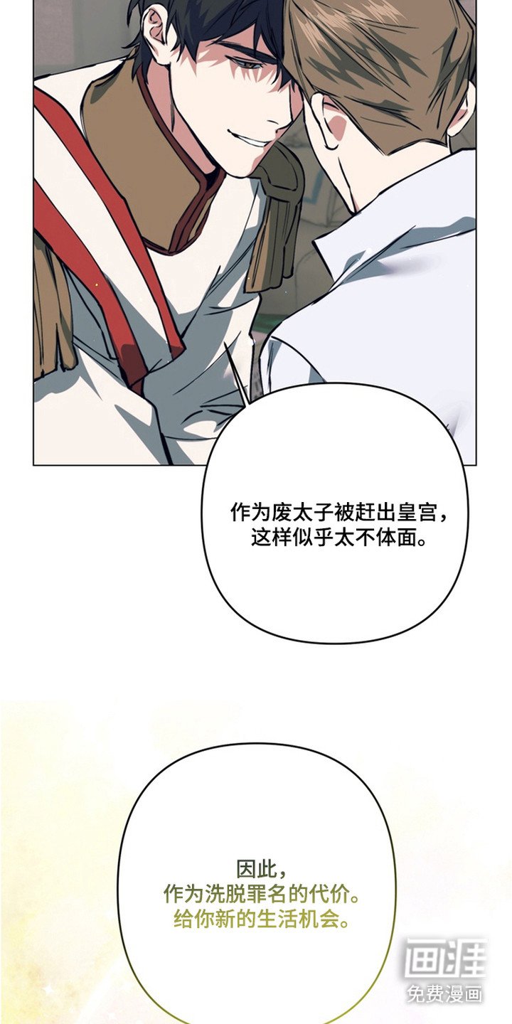 第18章：选择