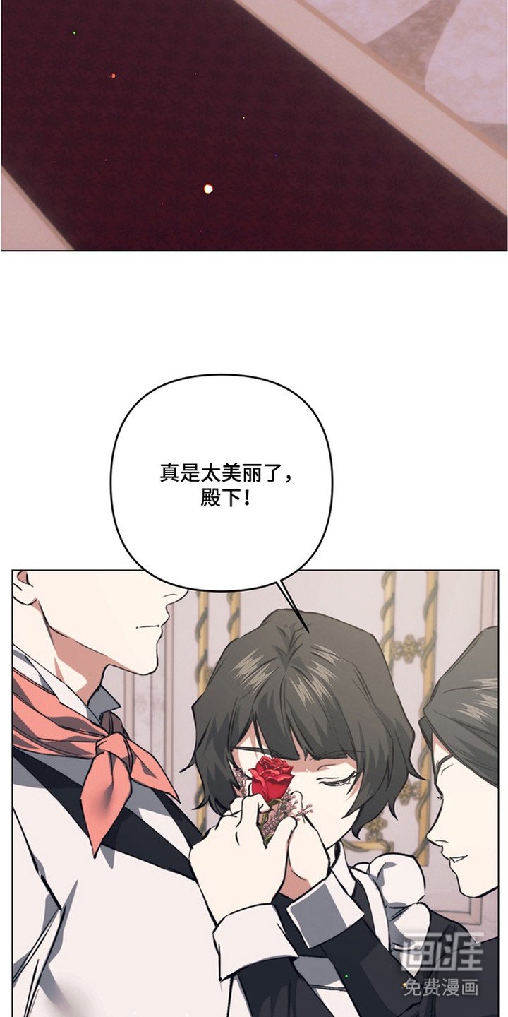 第19章：他们的新娘（完结）