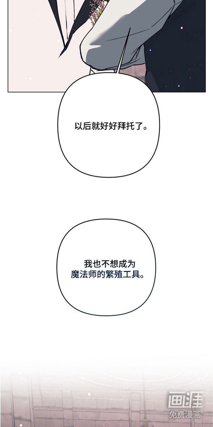 第19章：他们的新娘（完结）
