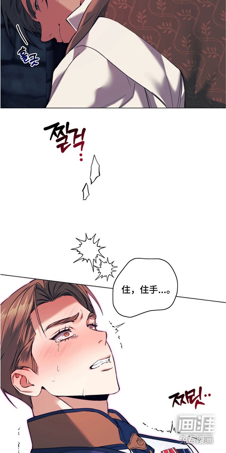 第4章：开始期待
