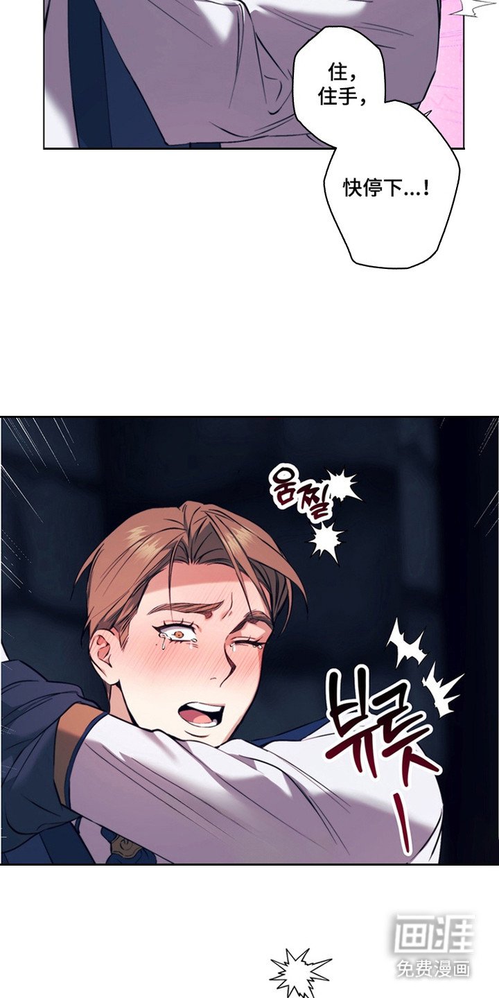 第4章：开始期待