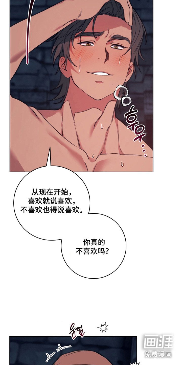 第5章：驯服