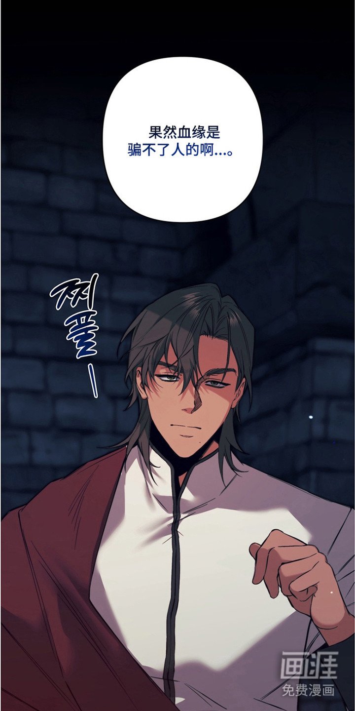 第5章：驯服