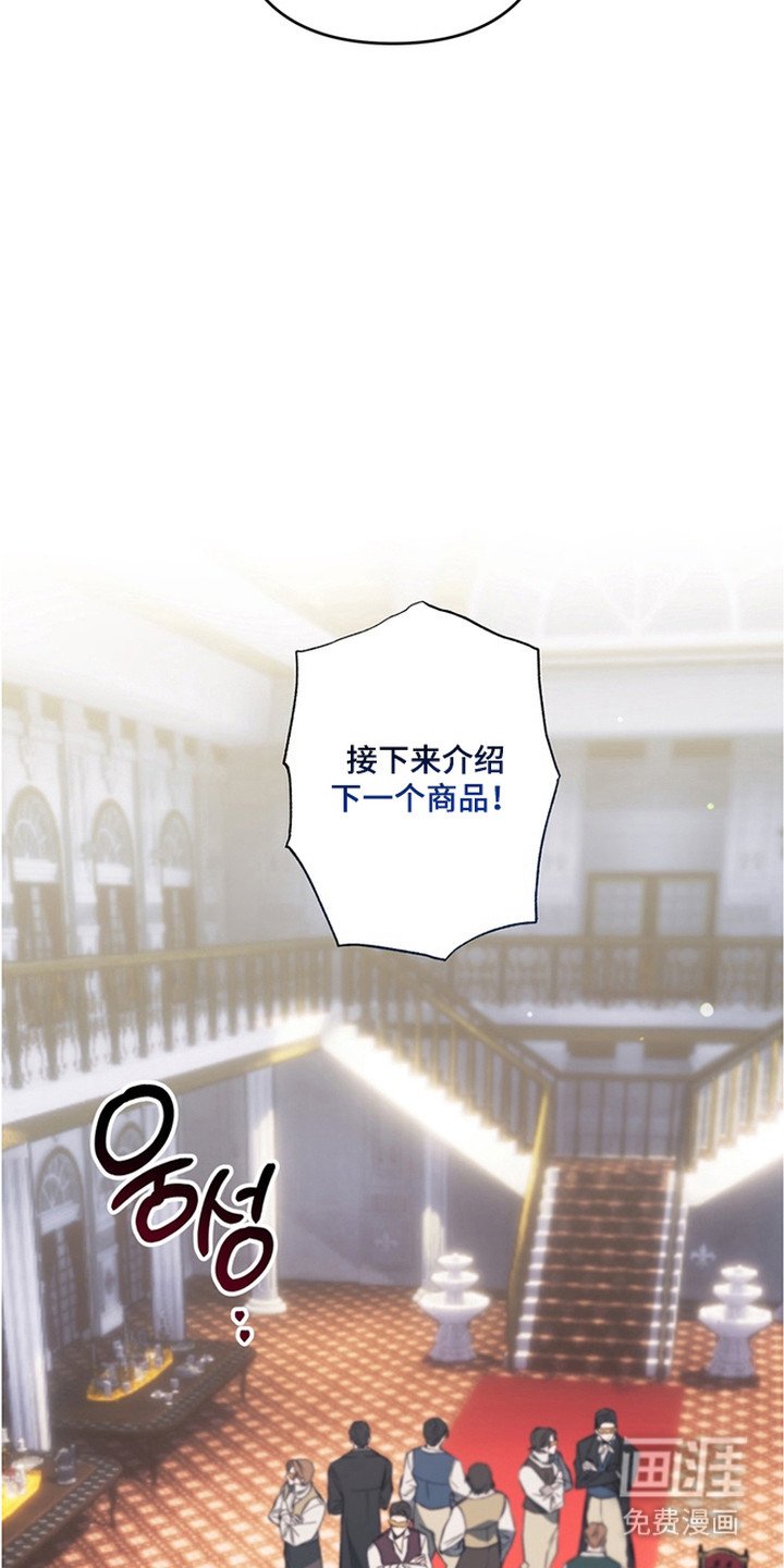 第6章：拍卖品