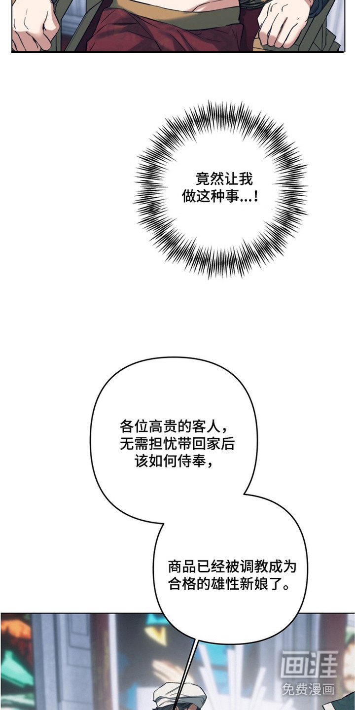 第6章：拍卖品