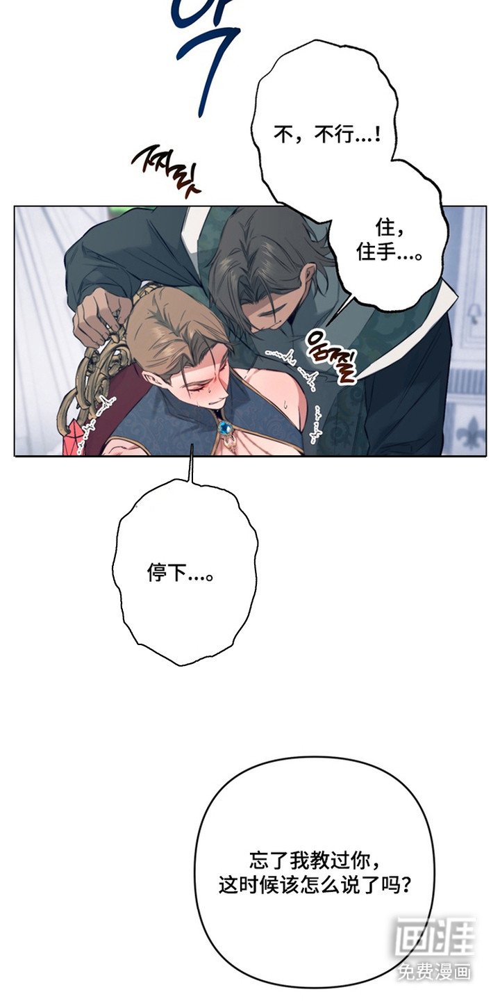 第7章：竞拍