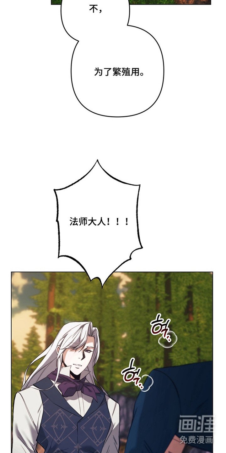 第8章：魔法师