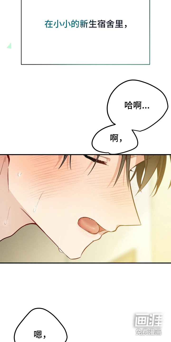 第1章：野猫兽人