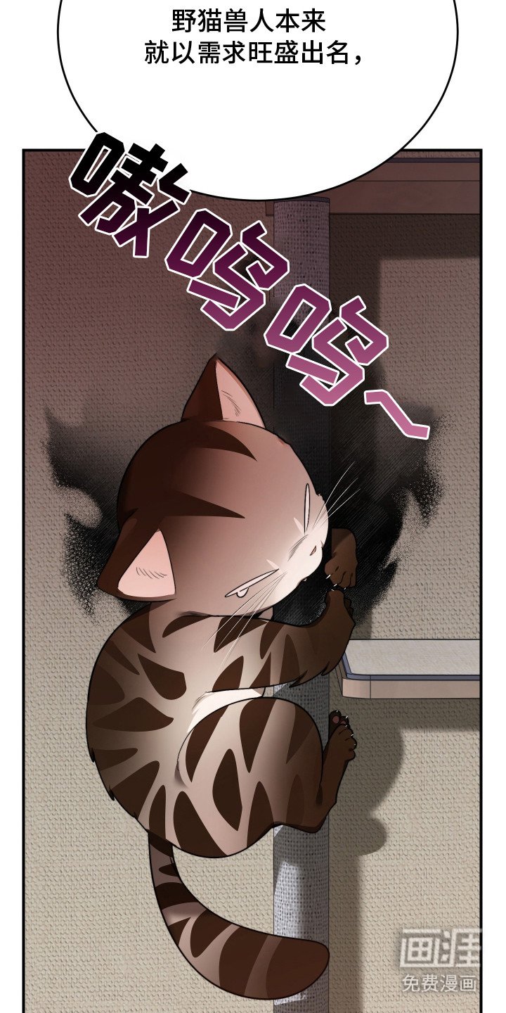 第1章：野猫兽人