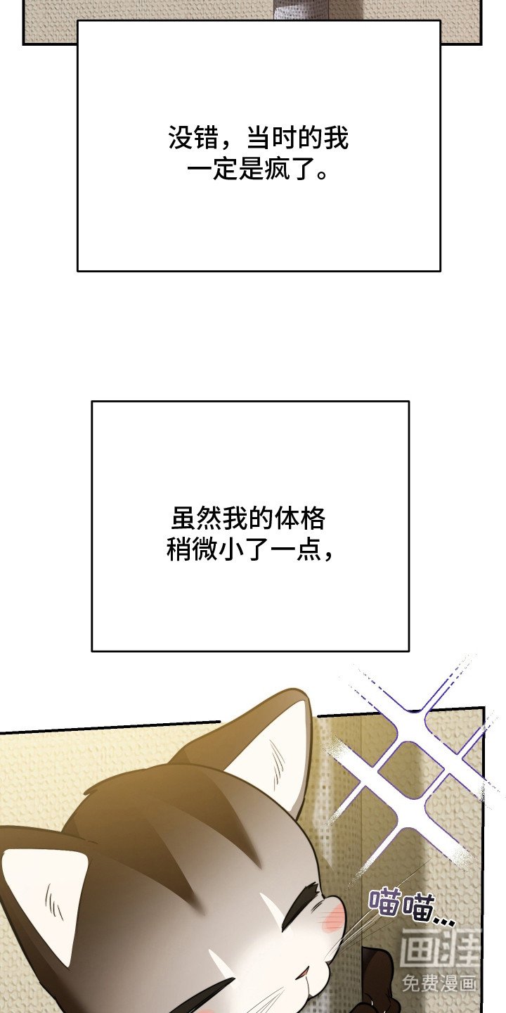 第1章：野猫兽人
