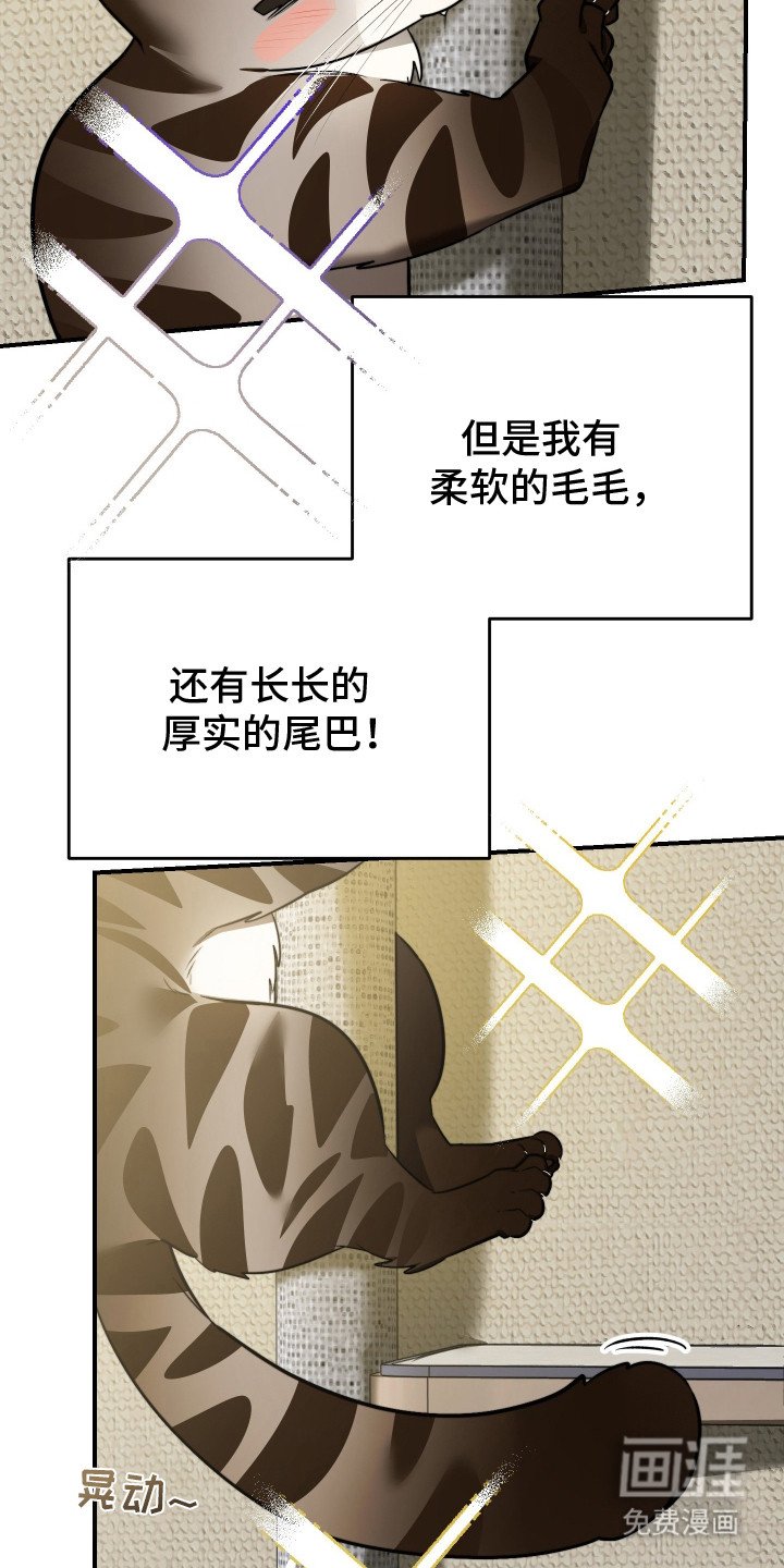 第1章：野猫兽人