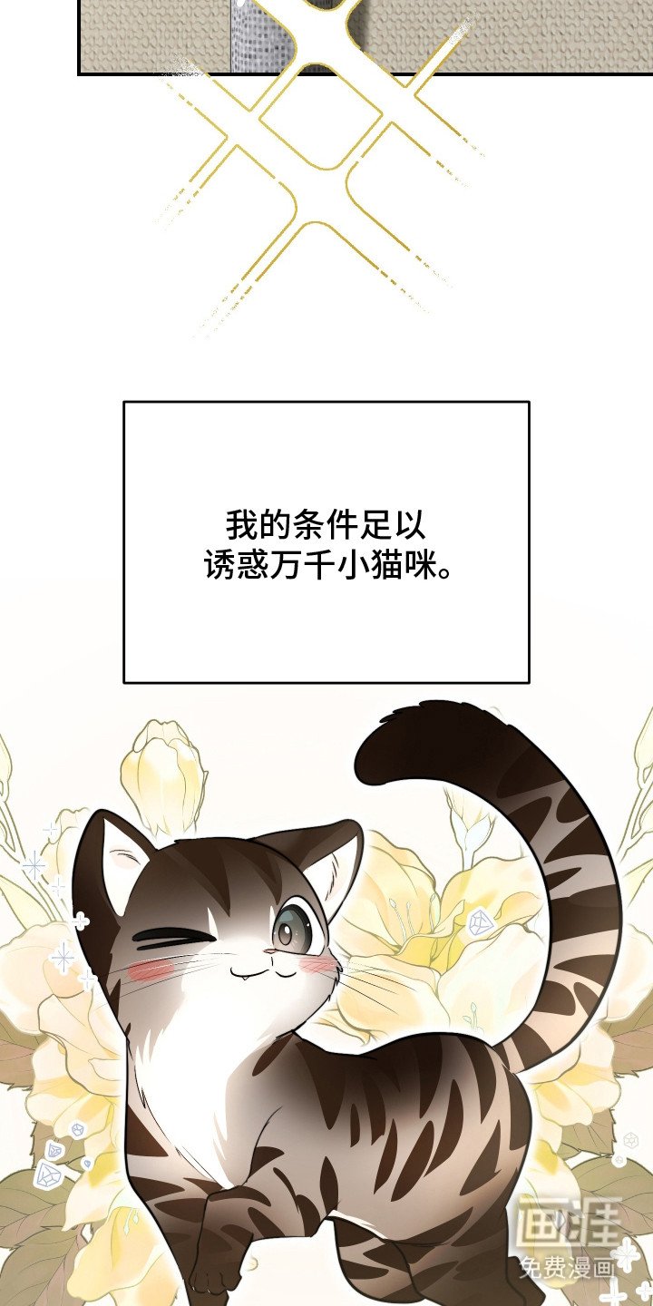 第1章：野猫兽人