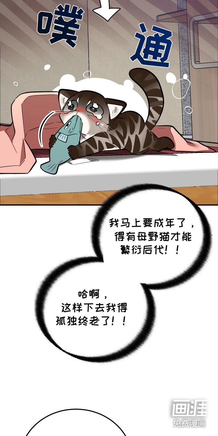第2章：秘密任务
