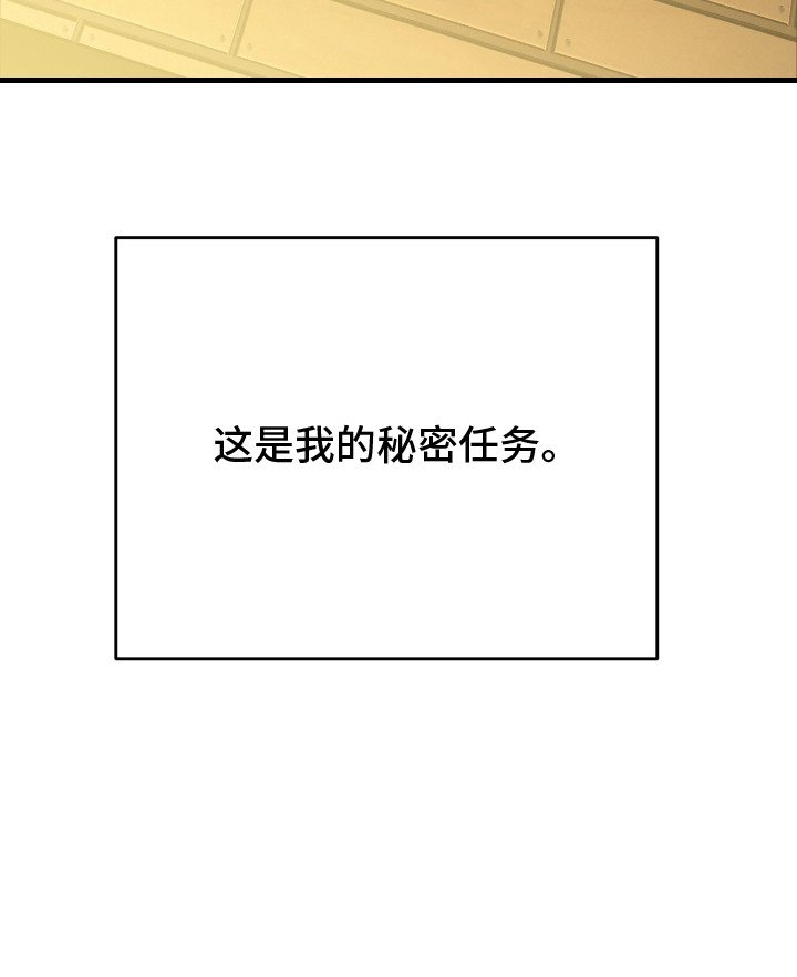 第2章：秘密任务