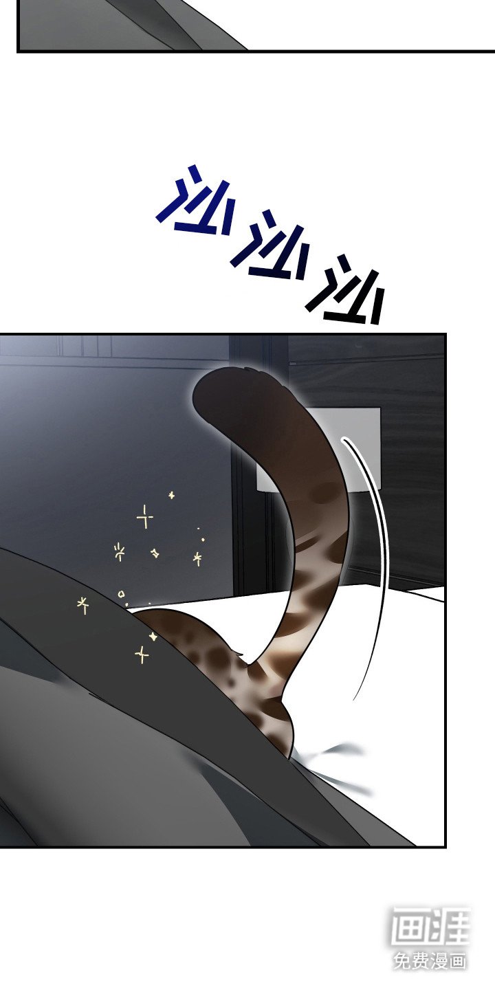 第3章：挑选目标