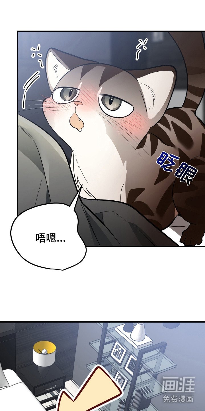 第3章：挑选目标