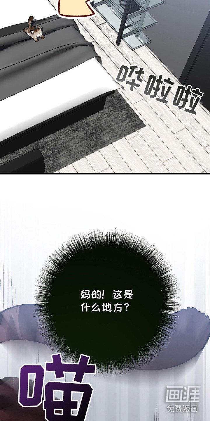 第3章：挑选目标