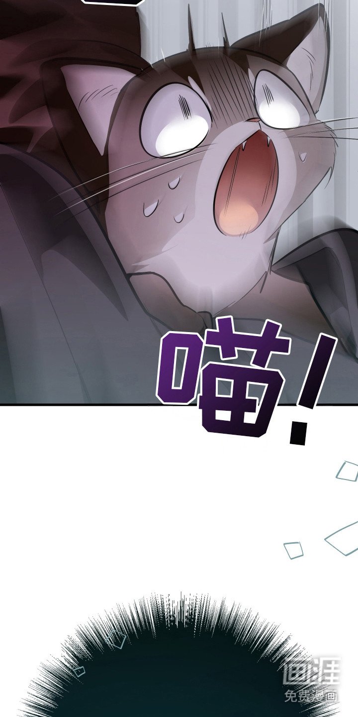 第3章：挑选目标
