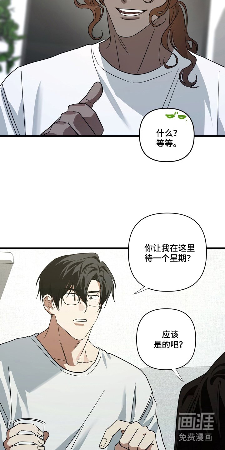 第13章：冷静